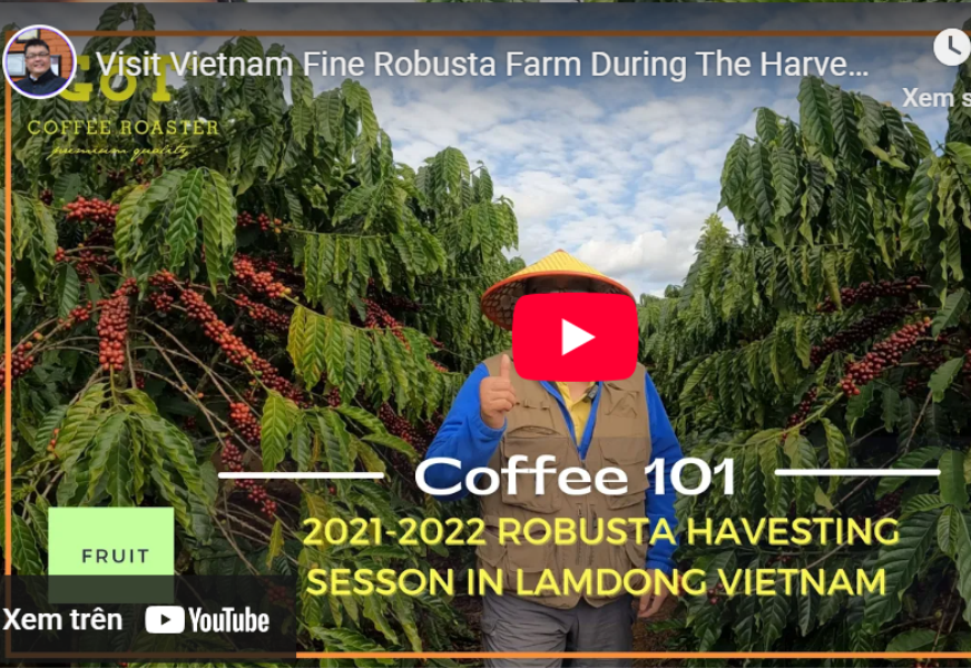 Kênh youtube chính thức của Got